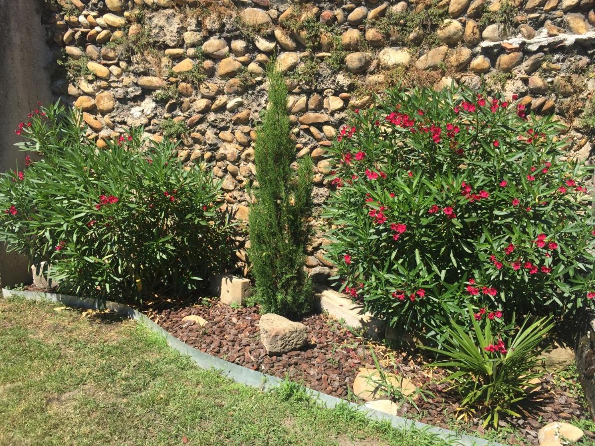 Le Charles IX Apartment Roussillon  Ngoại thất bức ảnh